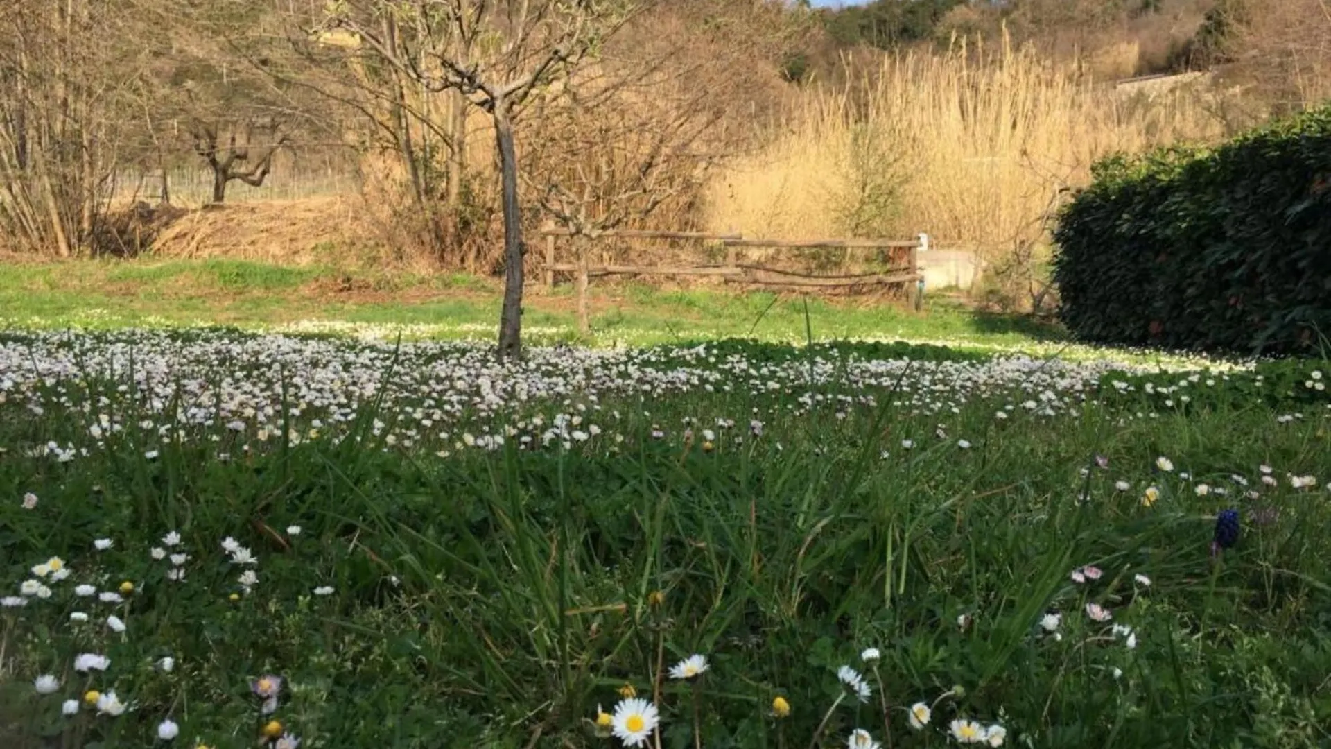 Borgo San Pietro - Deiva Marinaアパートホテル イタリア