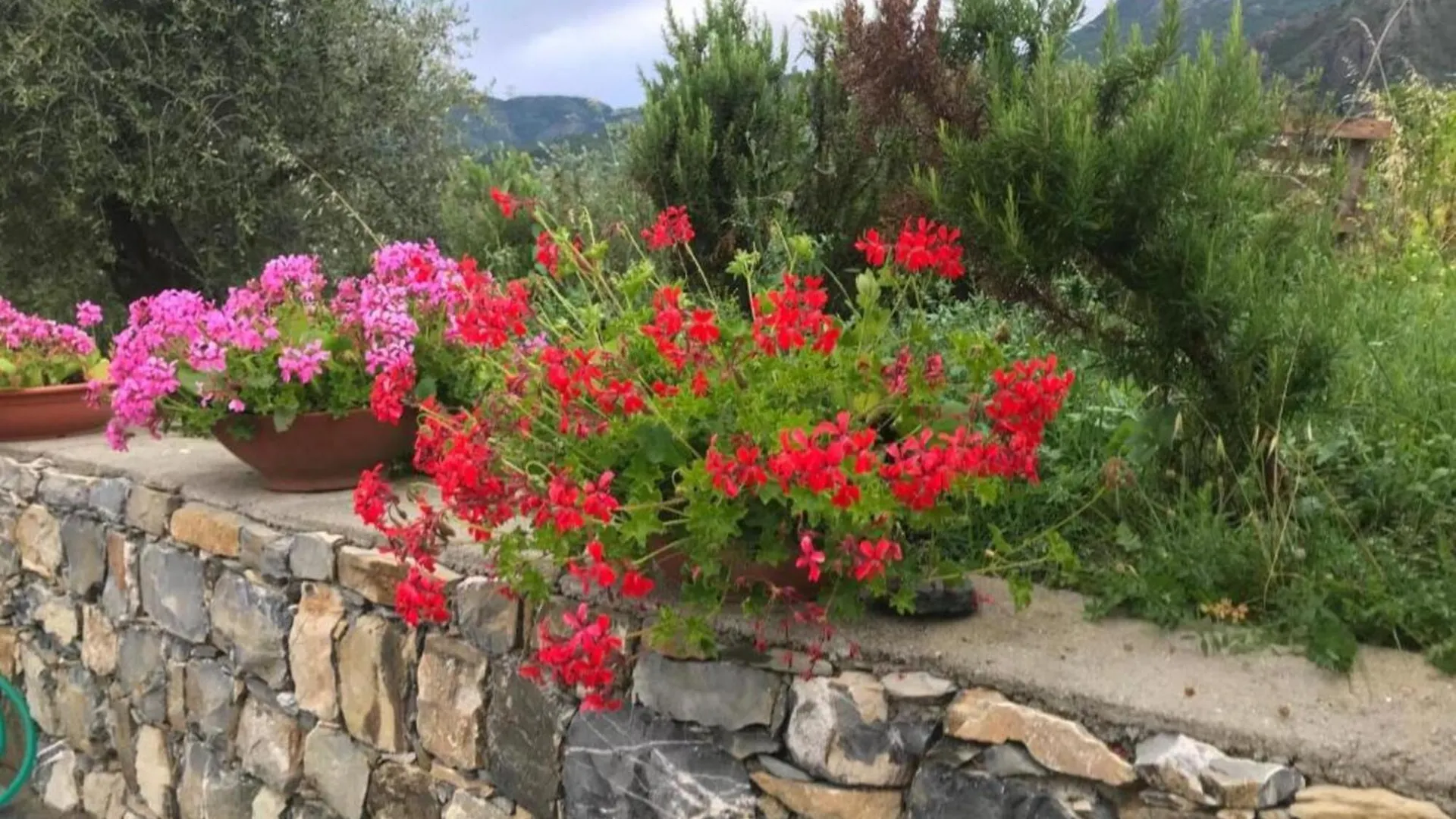 Borgo San Pietro - Deiva Marina Apart otel